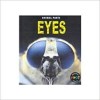 Eyes